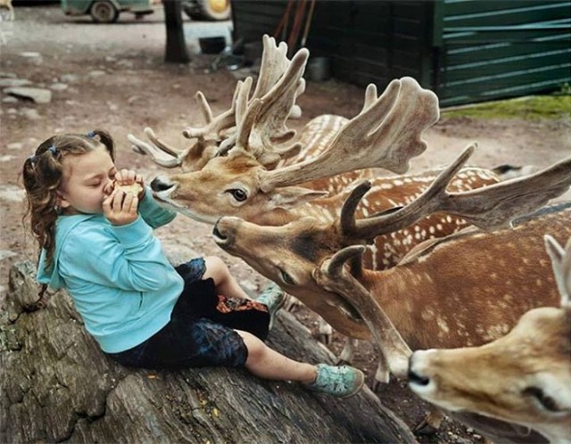 Vahşi hayvanlarla birlikte büyüyen kızın ilgi çekici fotoğrafları