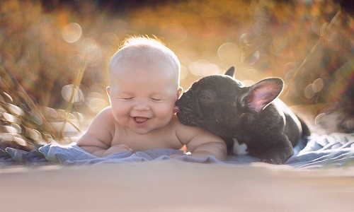 Aynı gün doğan bulldog ile bebeğin sımsıcak dostluğu