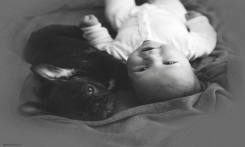 Aynı gün doğan bulldog ile bebeğin sımsıcak dostluğu