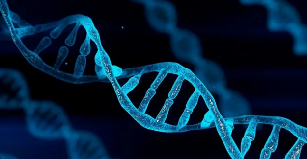 DNA nedir? DNA nın yapısı