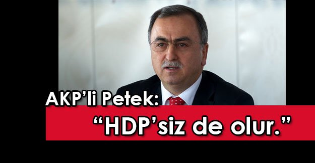 AKP'li vekil Reşat Petek: "HDP'siz bir hükümet kurulması mümkündür."