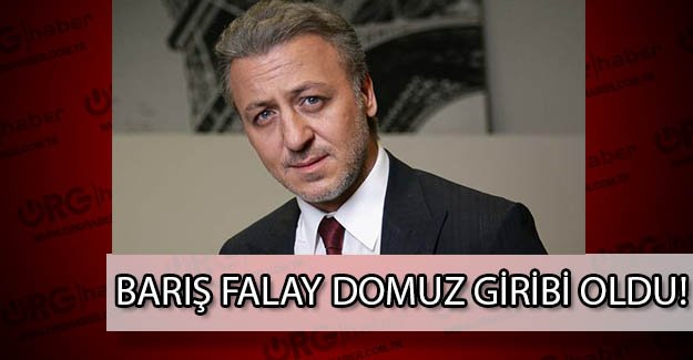 Domuz gribi, ünlü oyuncu Barış Falay'ı da buldu!