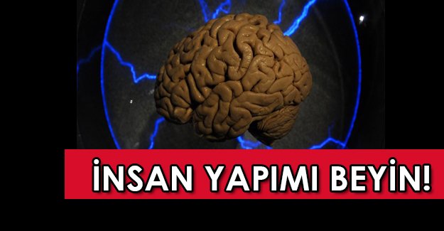 Dünyadaki insan yapımı ilk 'insan beyni' üretildi!