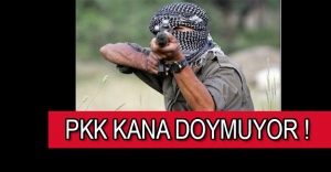 PKK Terörü Durmak Bilmiyor !