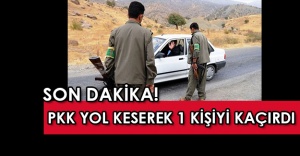SON DAKİKA: Diyarbakır'da PKK yol keserek 1 kişiyi kaçırdı!