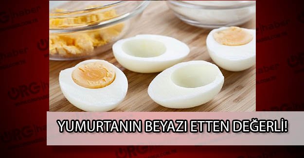 Yumurtanın beyazı, etten çok daha fazla proteine sahip!
